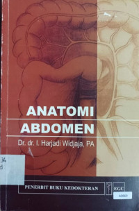 Anatomi abdomen