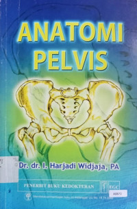 Anatomi pelvis