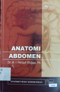 Anatomi abdomen